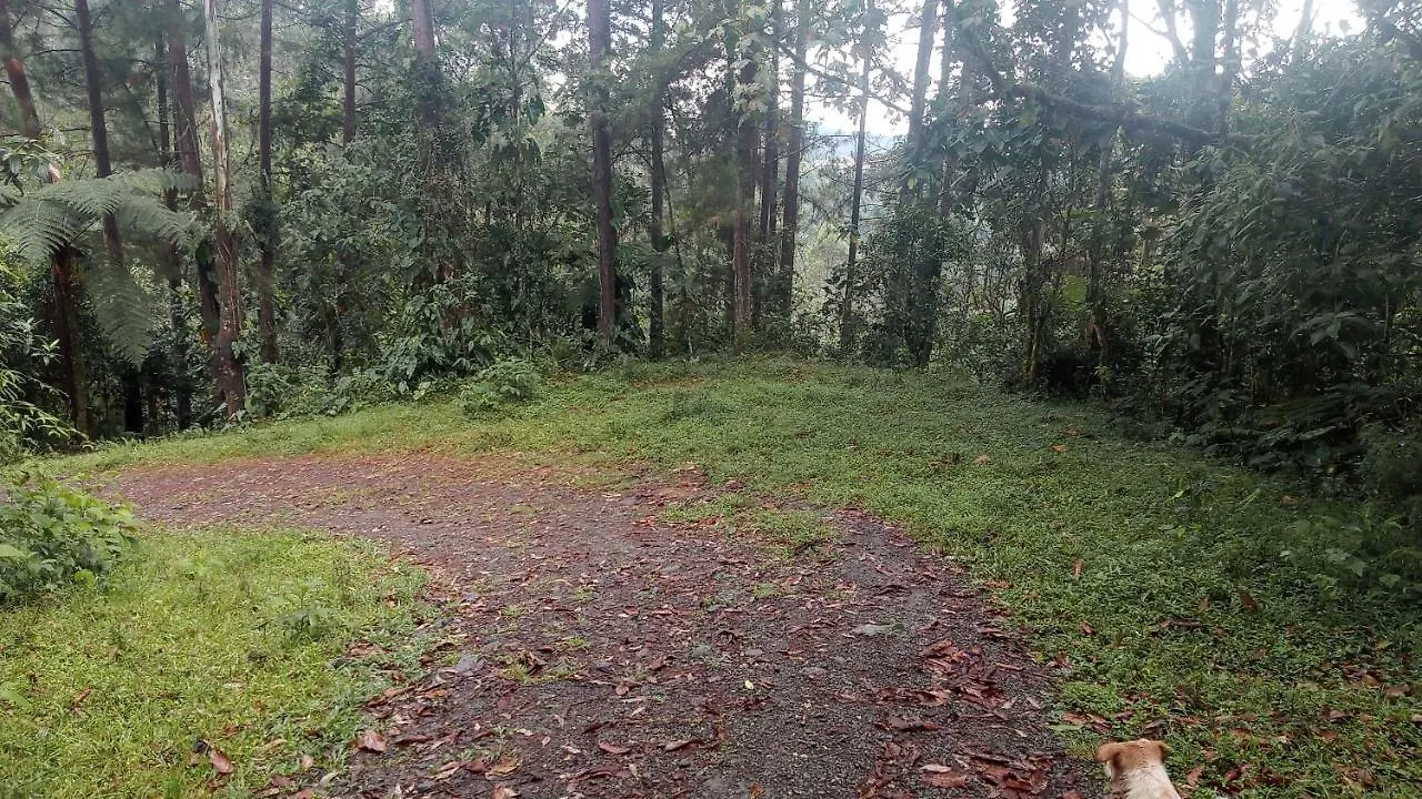Bosques Del Rio Hostal Medellin Colombia