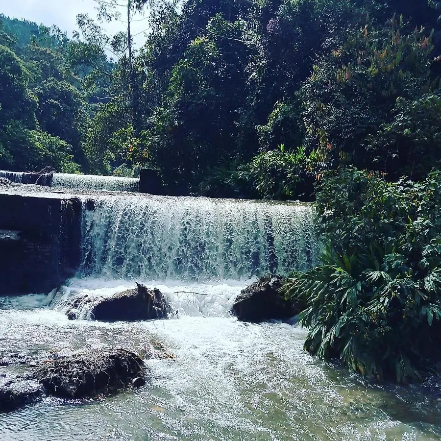 Bosques Del Rio Hostal Medellin