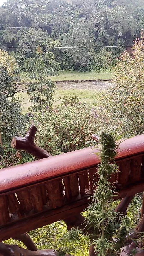 Bosques Del Rio Hostal Medellin
