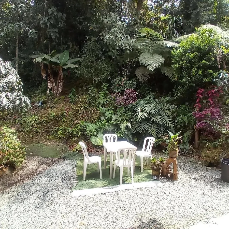 Guest house Bosques Del Rio Hostal Medellin