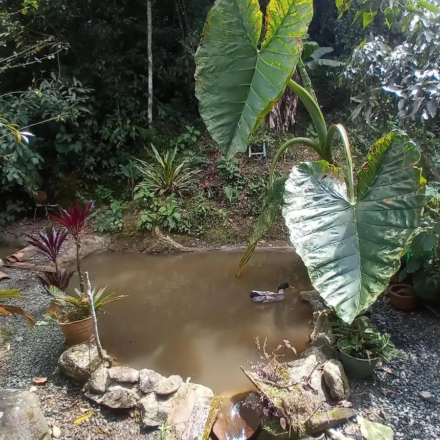 Bosques Del Rio Hostal Medellin 0*,  Colombia
