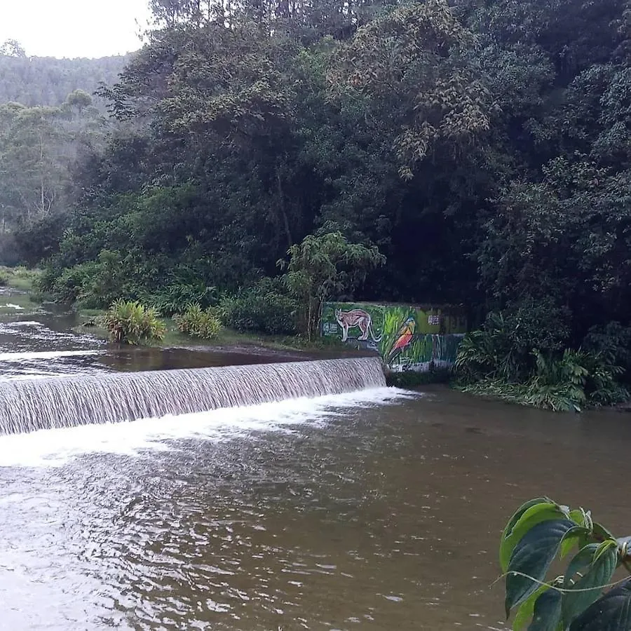 Bosques Del Rio Hostal Medellin